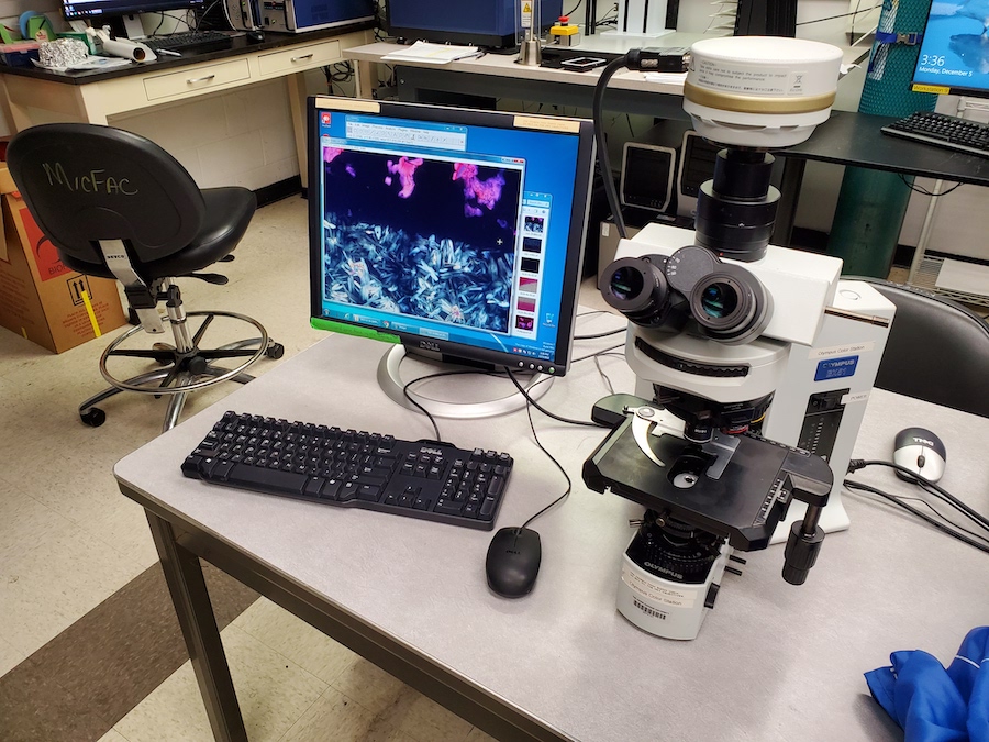 Olympus BX51TF Color/Histology Microscope