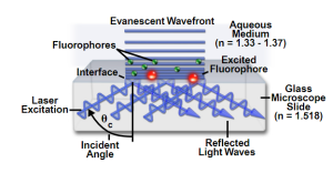 https://www.microscopyu.com/techniques/fluorescence/total-internal-reflection-fluorescence-tirf-microscopy